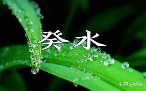 壬水癸水合嗎